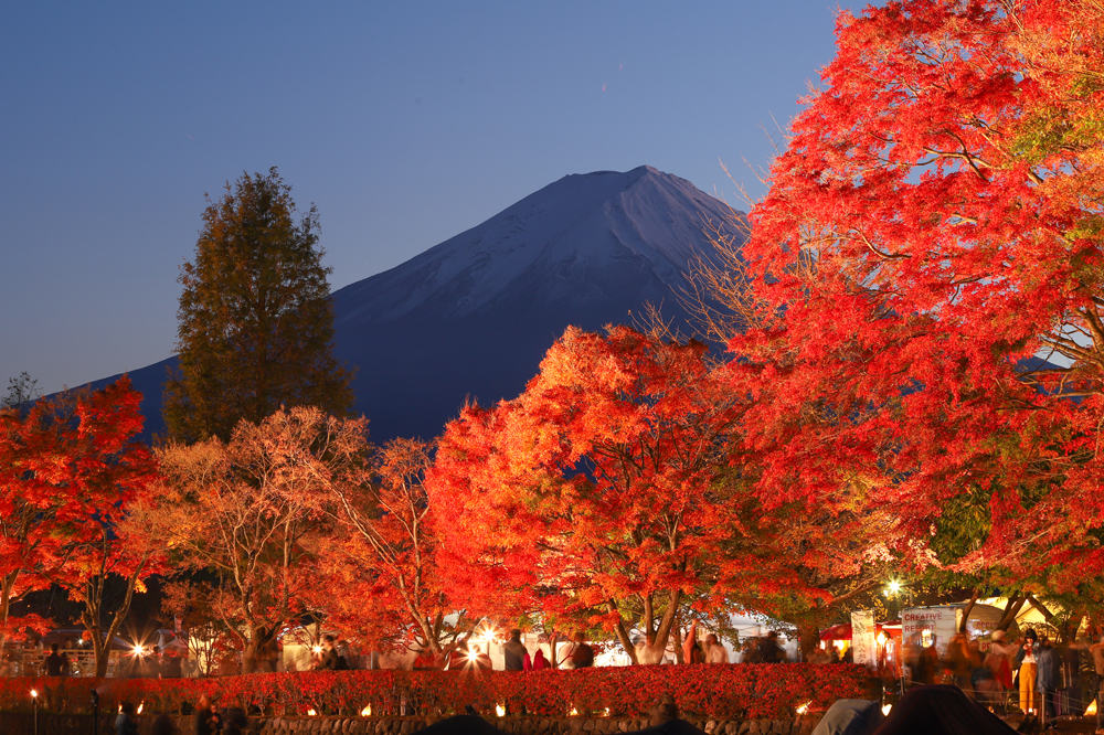 第24回富士河口湖紅葉まつり