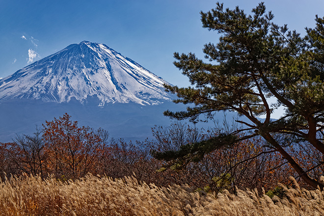 紅葉台 三湖台 五湖台コース