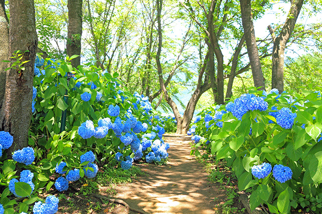 八木崎公園