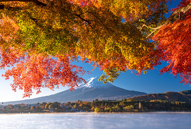 紅葉×富士山のマリアージュ!!～絶景紅葉スポットまとめ～