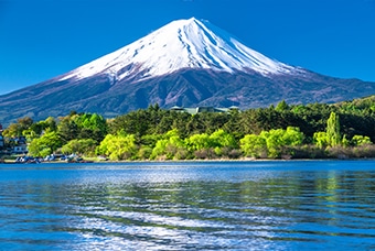 ホテル湖龍から湖畔周遊 富士山満喫コース